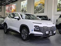 جيتور داشينج